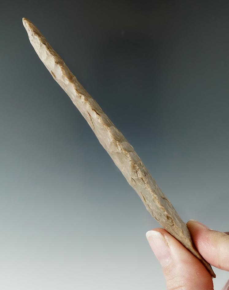 Large and nice! 5 5/16" Beautifully flaked early long Stemmed Lanceolate found in Texas.