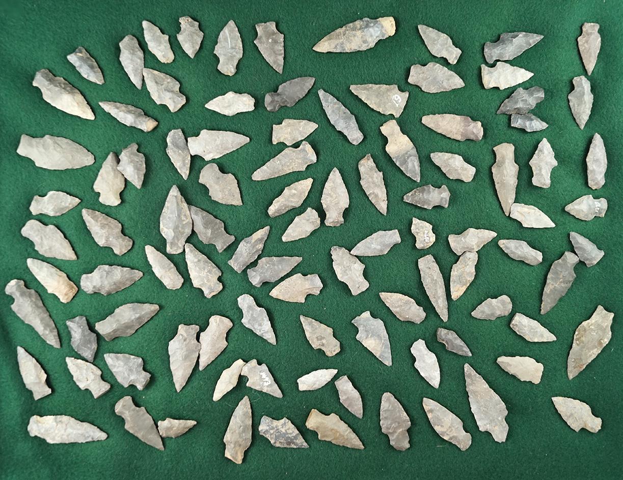 Large group of approximately 90 prehistoric Lamoka points - upper Susquehanna, Otsego County NY