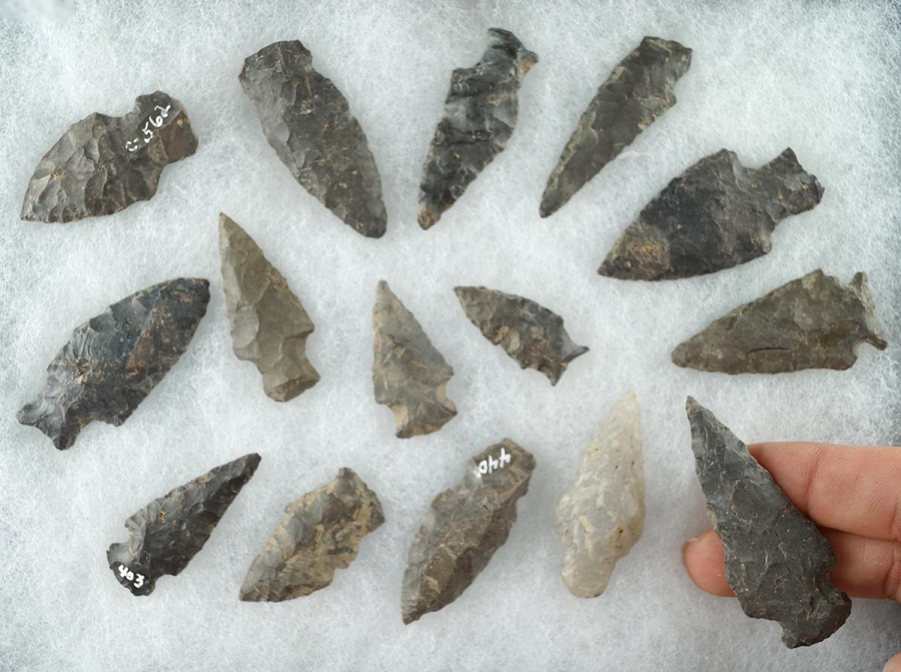 Group of 15 middle to late Archaic points found near the upper Susquehanna, Otsego County NY.