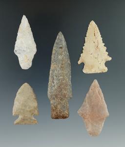 5 points including a serrated Kirk found in Northern Pennsylvania, Susquehanna River.