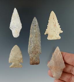 5 points including a serrated Kirk found in Northern Pennsylvania, Susquehanna River.