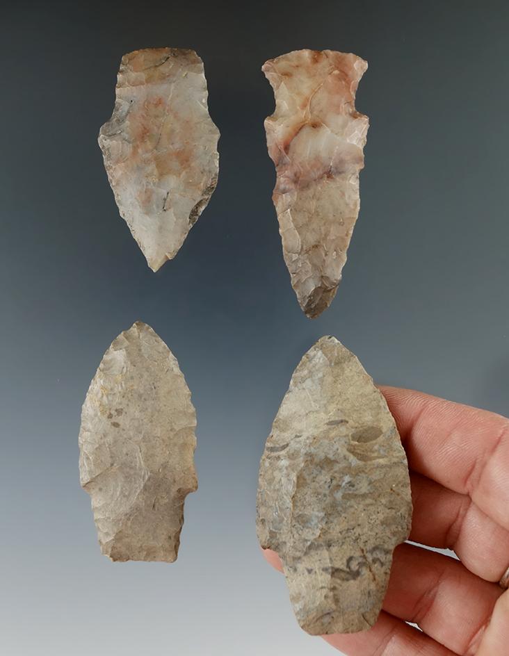 Set of four assorted arrowheads on the Michigan, largest is 2 3/8".