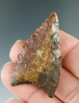 1 13/16" Plainview found by Harry Gaines in the 1950's in Grayson Co., Texas.  Rogers COA.