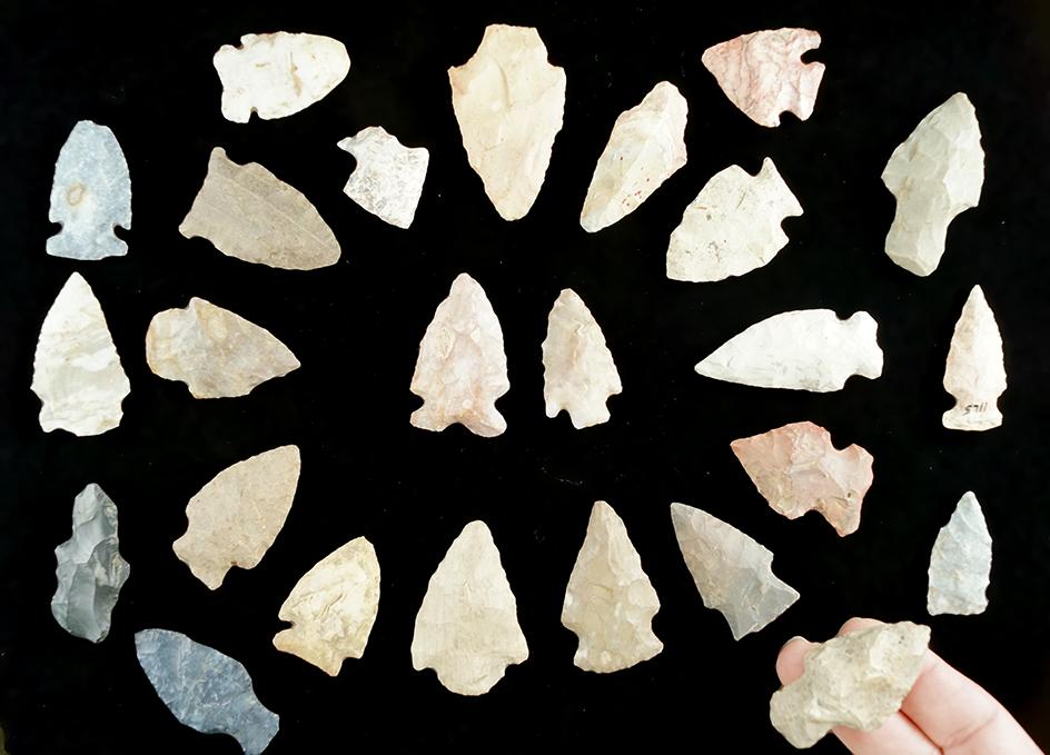 Group of 25 arrowheads found in Richland and Knox Co.,  Ohio by the Hooks family. Largest is 2".