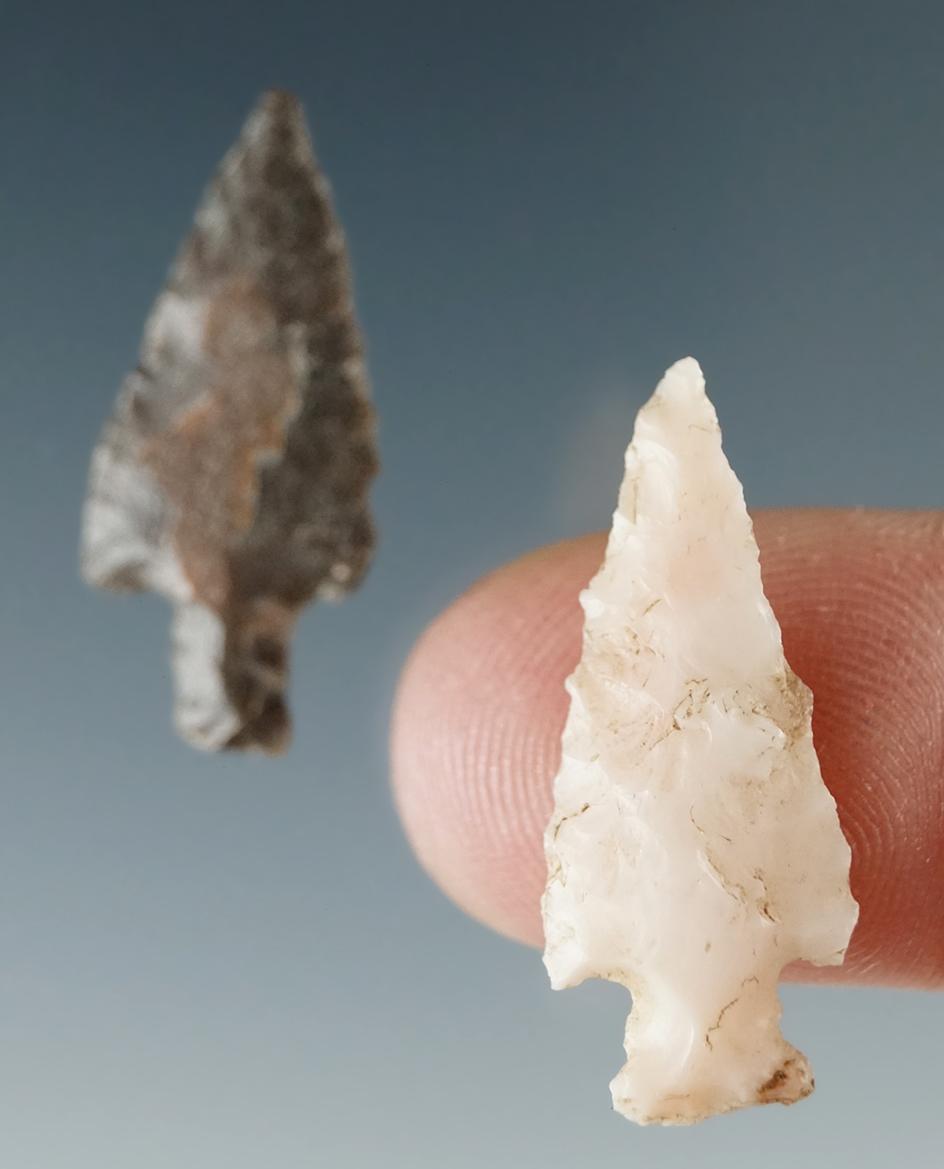 Pair of Columbia River arrowheads in nice condition, largest is 1".