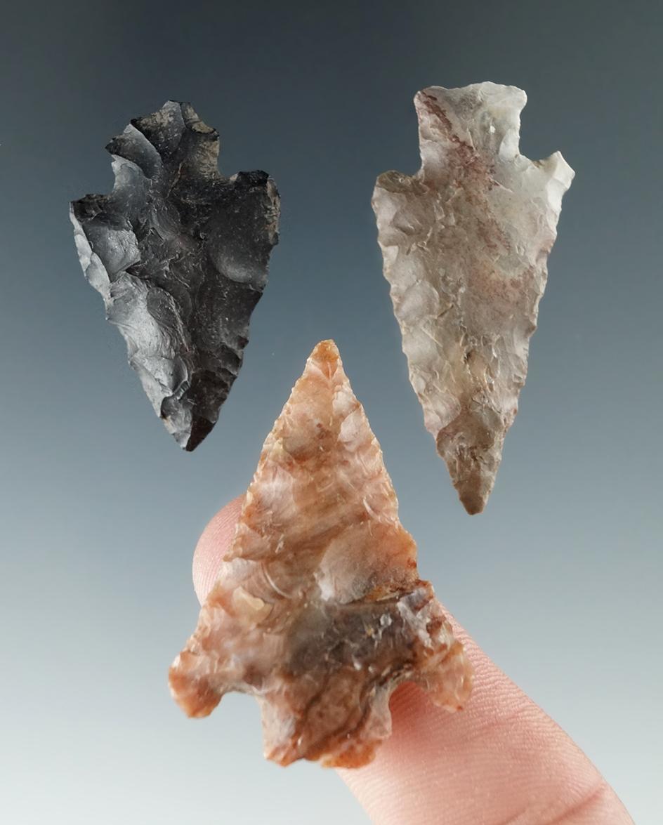 Set of three Columbia River arrowheads, largest is 1 1/2".