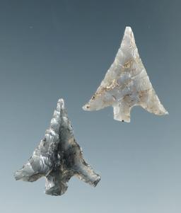 Pair of low flaked Columbia Plateau points found near the Columbia River, both around 5/8" long.