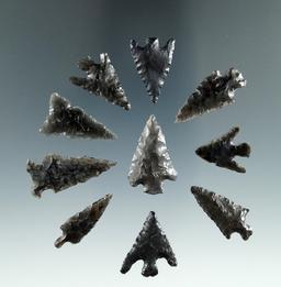 Group of ten small Obsidian Points, longest is 1 1/8", found in the Great Basin, Oregon.