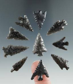 Group of ten small Obsidian Points, longest is 1 1/8", found in the Great Basin, Oregon.