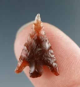 3/4" Columbia Plateau made from Translucent Root Beer Agate, found near the Columbia River.