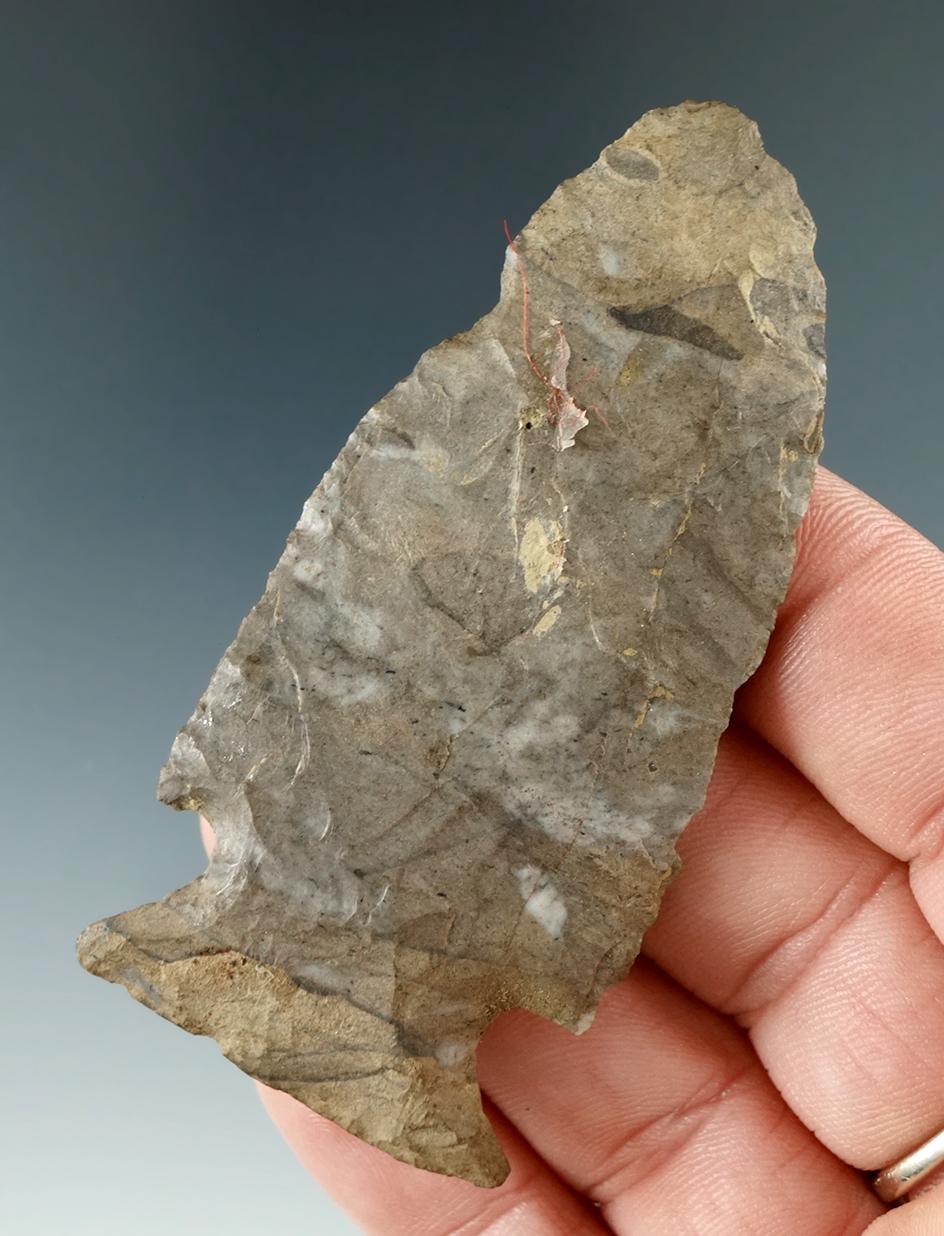 2 13/16" Vosburg made from Onondaga Flint found near Houghton, Allegheny Co., New York.