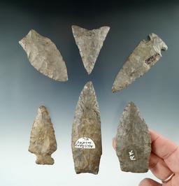 Set of six restored arrowheads found in New York, largest is 3 3/8".