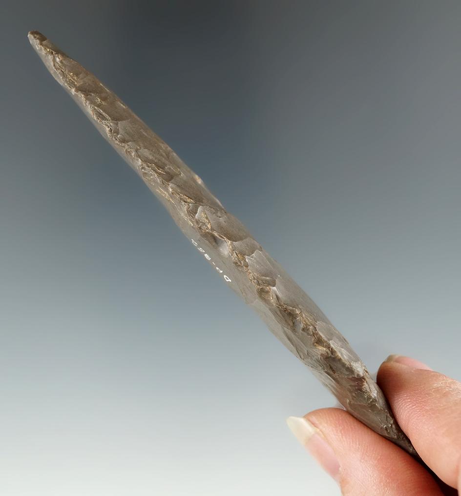 4 5/8" Trukeytail - heavily patinated Hornstone, found in Indiana. Ex. Patten, Duncan.