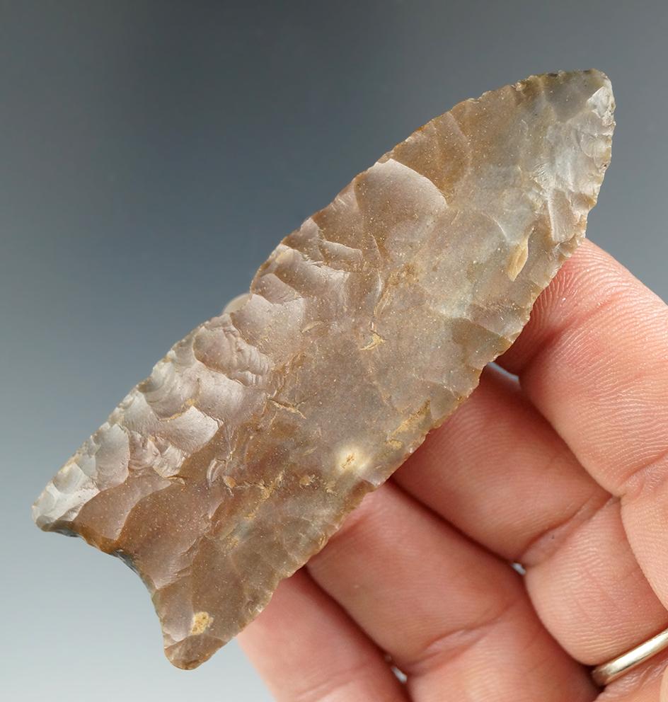 2 7/8" Paleo Clovis - Sonora Flint, found near Louisville, Kentucky. Minor rechipping - COA.