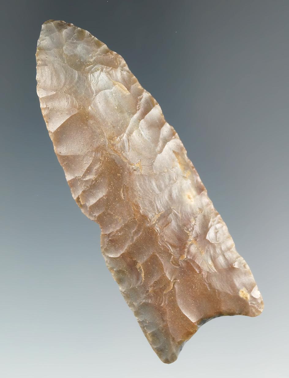 2 7/8" Paleo Clovis - Sonora Flint, found near Louisville, Kentucky. Minor rechipping - COA.