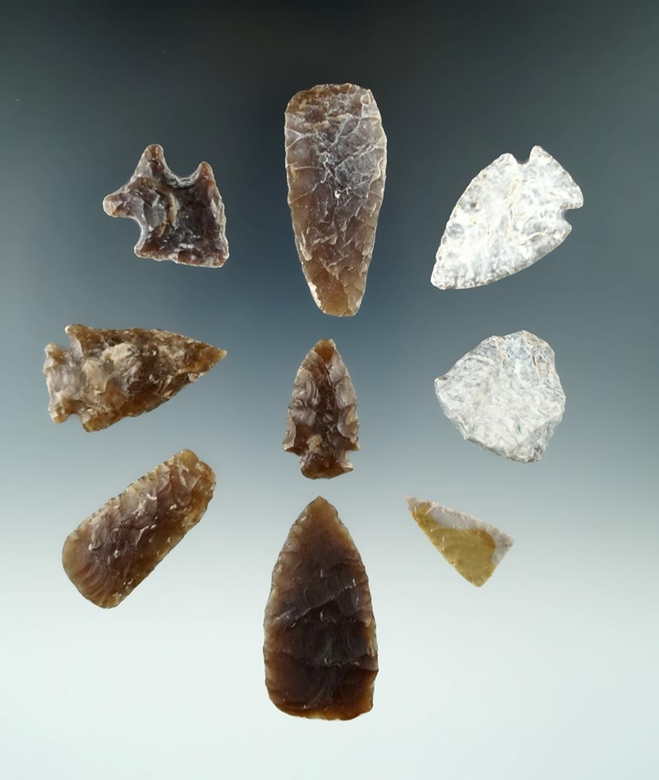 Very nice group of nine plains area arrowheads, largest is 1 15/16".