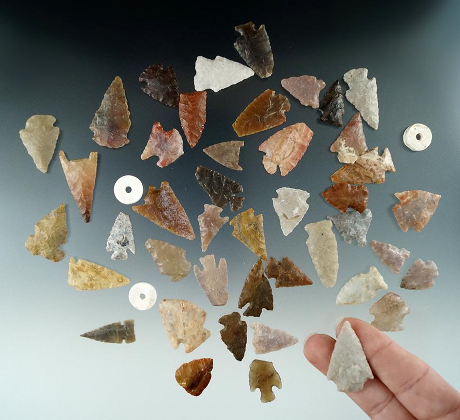 Large group of 43 High Plains arrowheads and three shell beads, largest is 1 3/8".