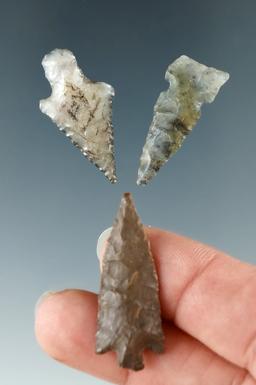 Set of three Columbia River arrowhead, largest is 1 3/8".