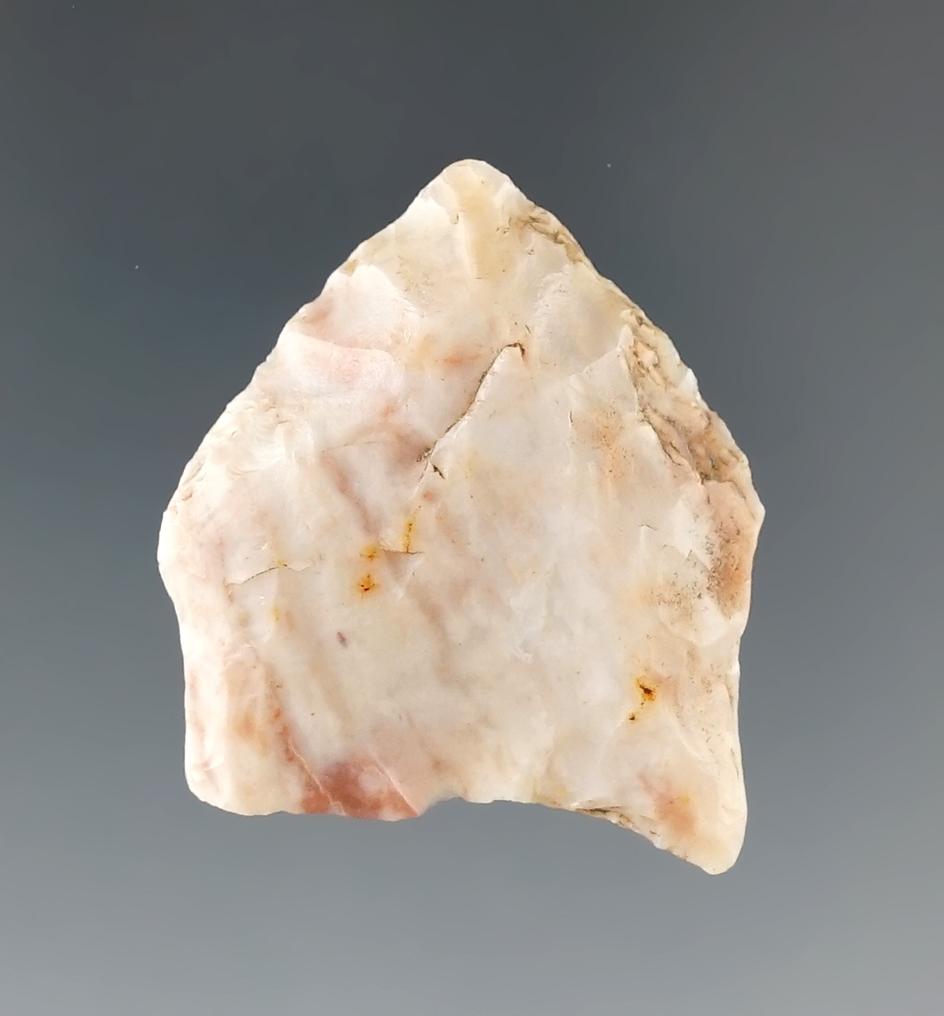 1 3/8" Pelican made from white and pink Alibates Flint. Atoka Co., Oklahoma. Rogers COA.