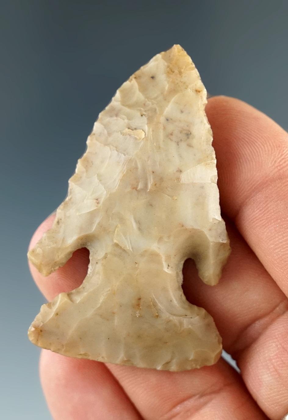 2 1/16" Archaic Deep Notch Bevel made from quality Flint Ridge Flint.