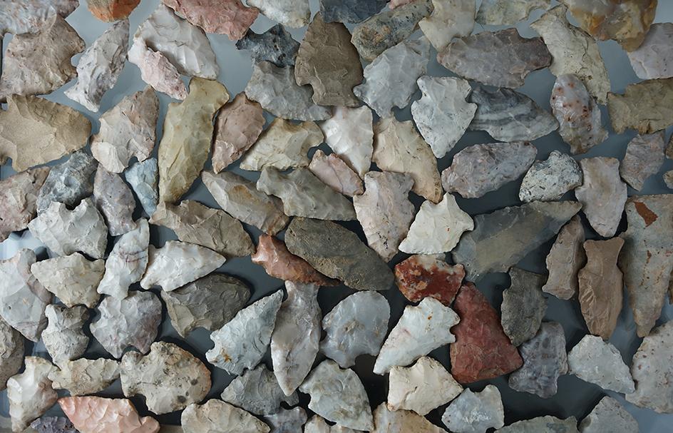 Large group of approximately 90 mostly Flint Ridge Flint field found arrowheads, largest is 2 1/4".