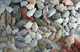 Large group of approximately 90 mostly Flint Ridge Flint field found arrowheads, largest is 2 1/4".