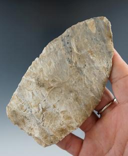 4 1/2" Paleo Knife found by F.M. Kriechfield 1/2 mile east of Randall, Coshocton Co., Ohio.