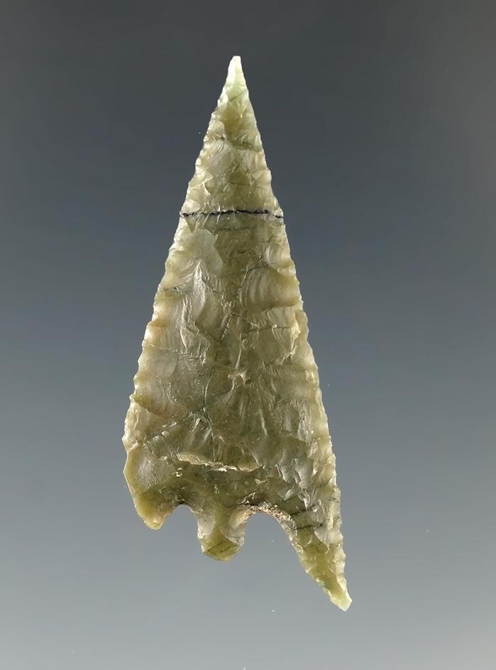 Ex. Museum! 1 5/8" Gunther - green Franciscan Chert with nice flaking, this is NOT broken and glued.