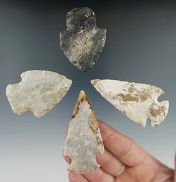 Group of 4 Woodland Points found in Wood Co., Ohio. Largest is 2 5/8".