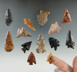 Group of 13 assorted Arrowheads found near Sauvies Island, Oregon in the 1940's.