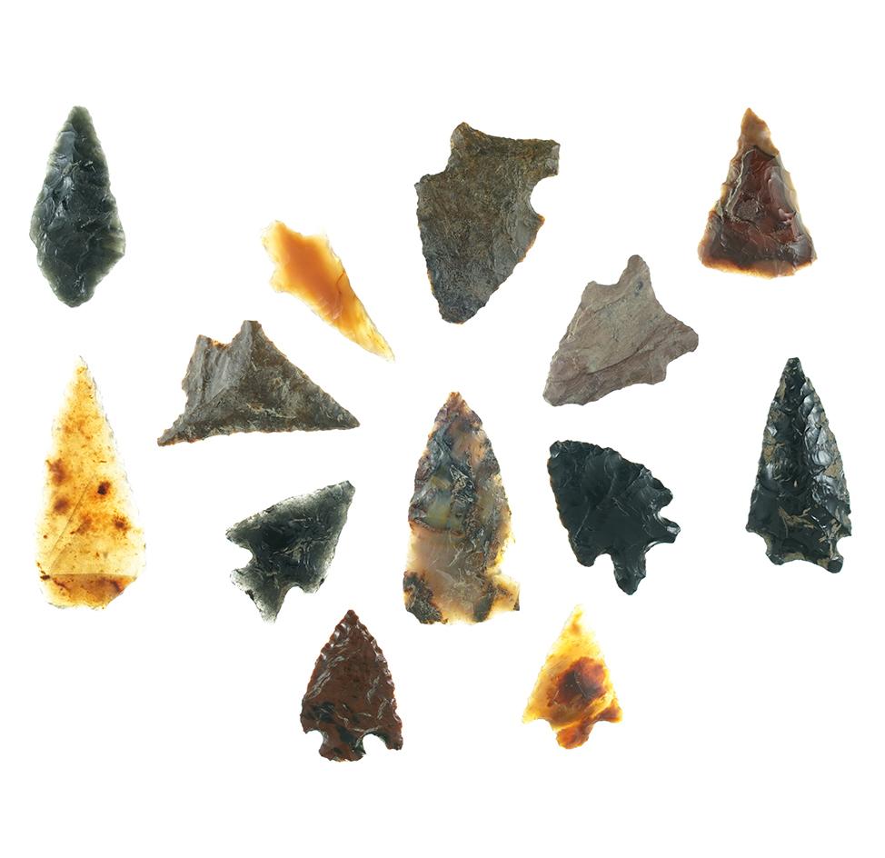 Group of 13 assorted Arrowheads found near Sauvies Island, Oregon in the 1940's.