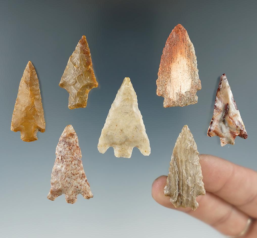 Set of seven arrowheads made from various materials found near the Columbia River