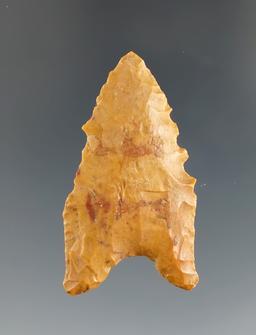 1 11/16" Dalton - Crowley's Ridge Chert, found in Northeast Arkansas. Rogers and Perino COA's.