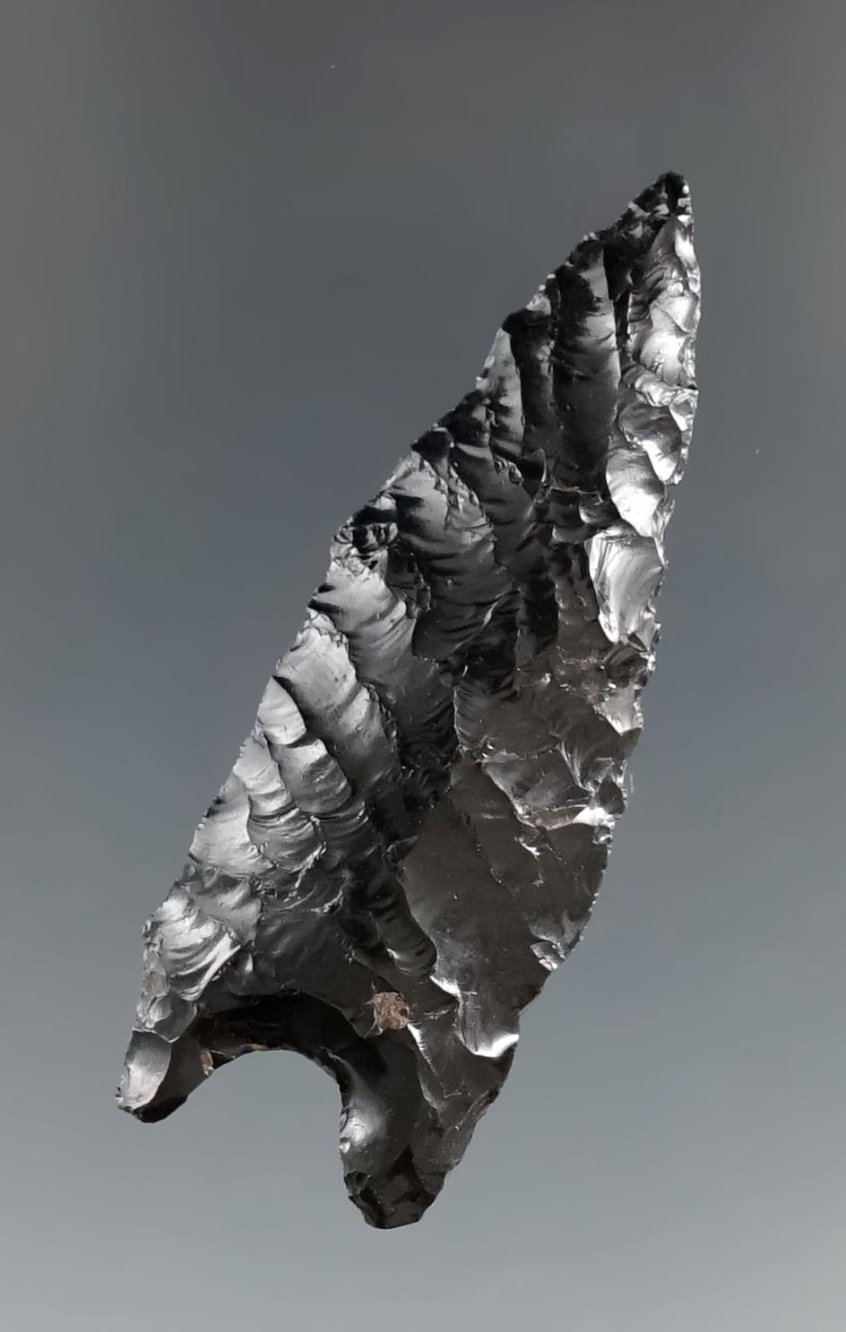 1 7/8" Humboldt Basal Notch made from Obsidian, found near Crump Lake, Oregon. COA.