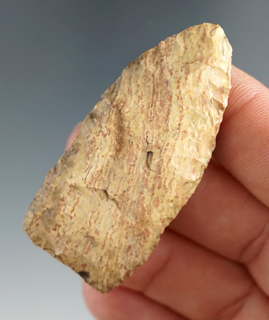 2 1/16" unfluted Paleo Lanceolate made from petrified wood found in Texas.