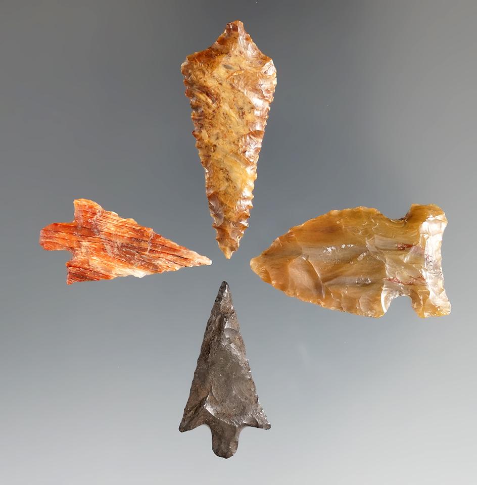 Set of four Columbia River arrowheads, largest is 1 9/16".