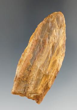 2 5/8" Plainview - Petrified Wood, found in the Toledo Bend area of Texas. Rogers COA.