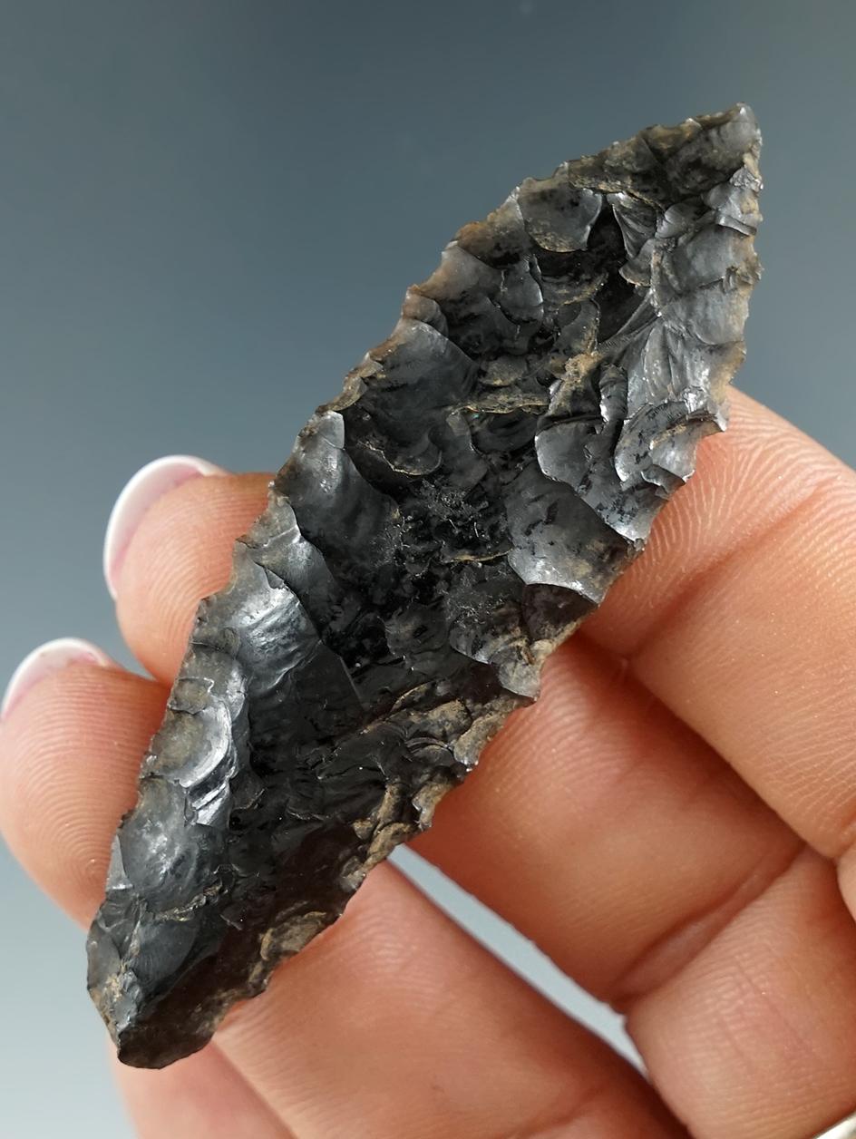 Pictured! 2 1/2" obsidian Paleo Haskett - Warner Valley Oregon. Pic in Overstreet #8, page 1207.