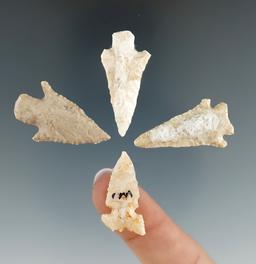 Set of four Southwestern arrowheads, largest is 1 3/8".