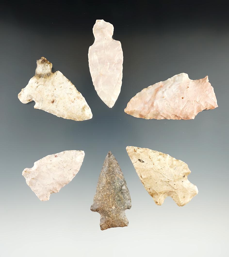 Six Missouri arrowheads, largest is 2 5/16".