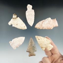 Six Missouri arrowheads, largest is 2 5/16".
