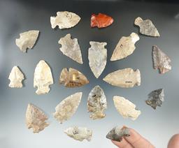 Large group of approximately 19 mostly Ohio arrowhead, largest is 1 3/4".