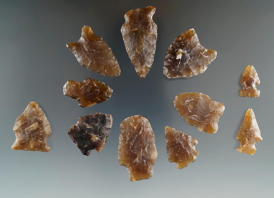 Set of 11 assorted arrowheads made from high-quality Knife River Flint - Eastern South Dakota.