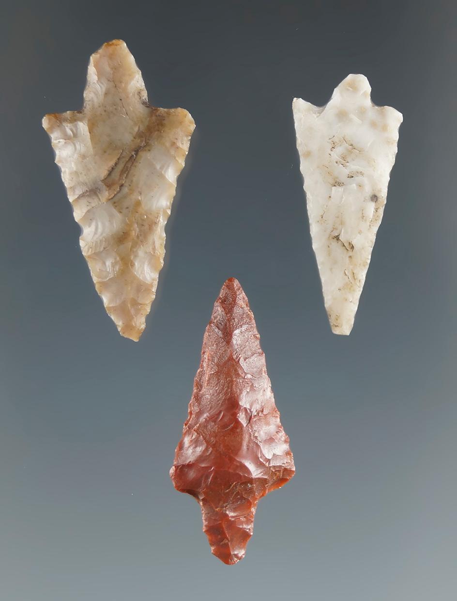 Three Rabbit Island Arrow points found near the Hood River, Oregon. Largest is 1".