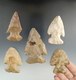 Set of 5 Thebes found in the Midwest, largest is 3 1/8".