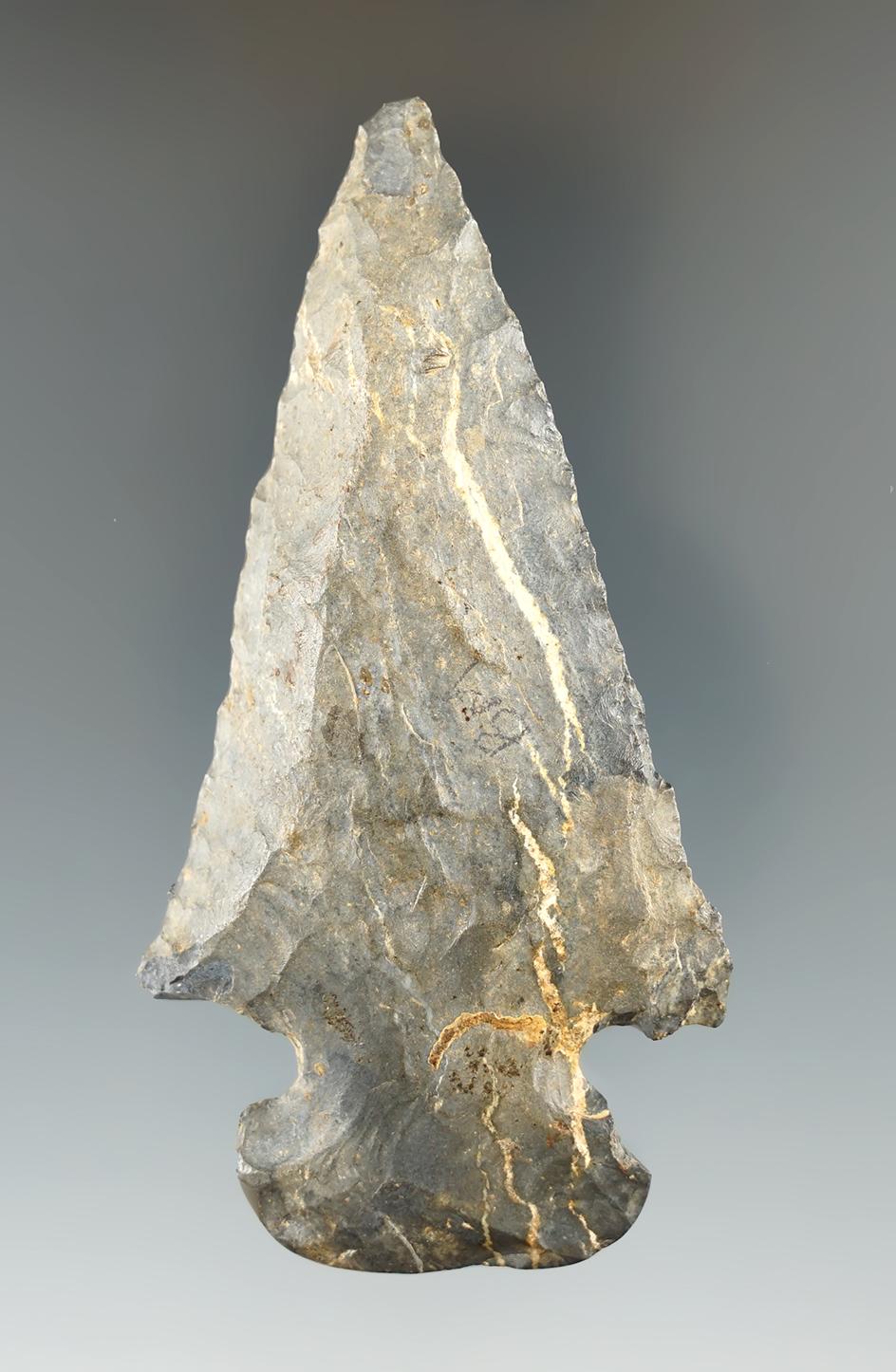 3 5/8" steeply beveled Coshocton flint Dovetail found in Coshocton Co., Ohio.