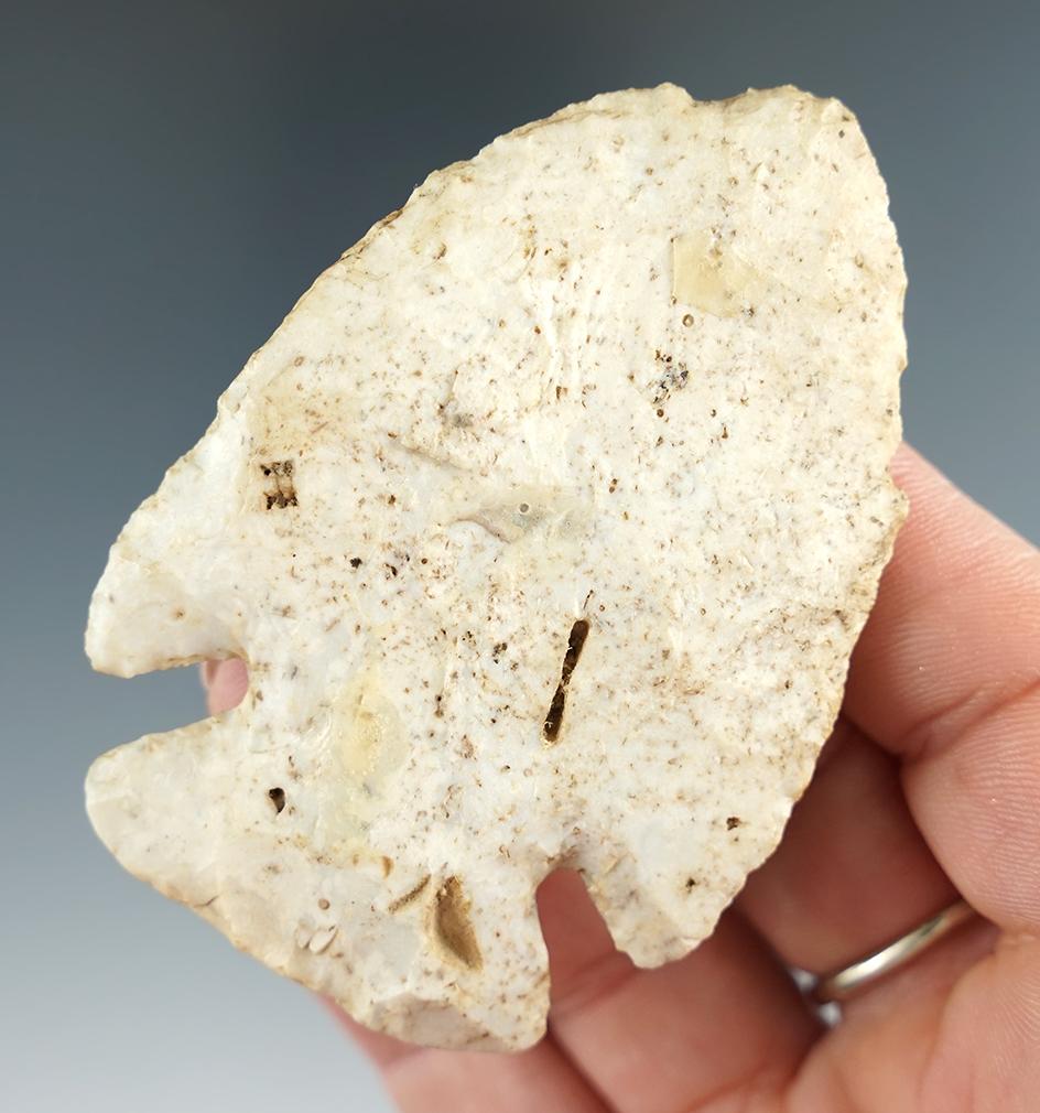 2 15/16" Archaic Thebes found in Western Ohio with a very unique eroded fossil on one side.