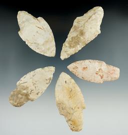 Five nice Burlington chert Adenas found in the Illinois/Missouri area, largest is 3 3/16".