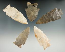 Set of five Flint Knives found in Missouri/Illinois. Largest is 3 3/8".