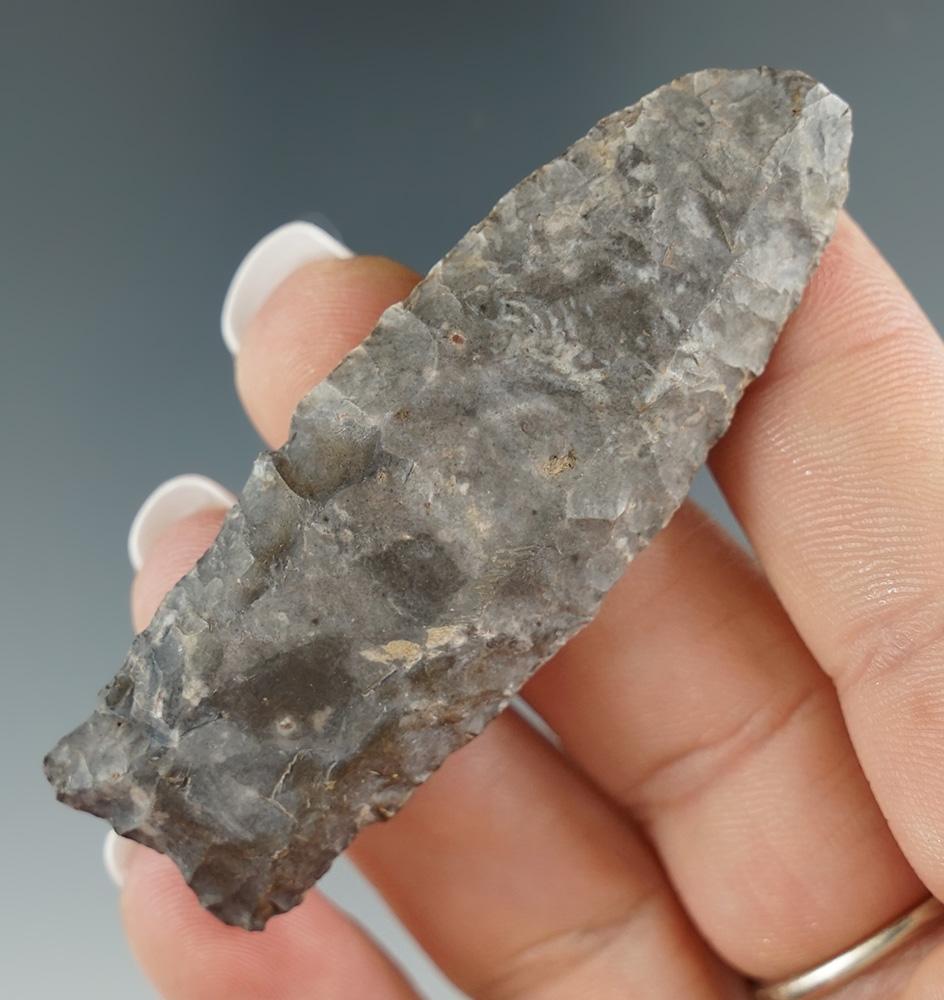 2 5/8" Paleo Fluted Cumberland made from Coshocton Flint found in Logan Co., Ohio.